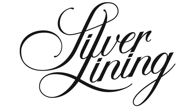 Picture 2 Silver Lining logo