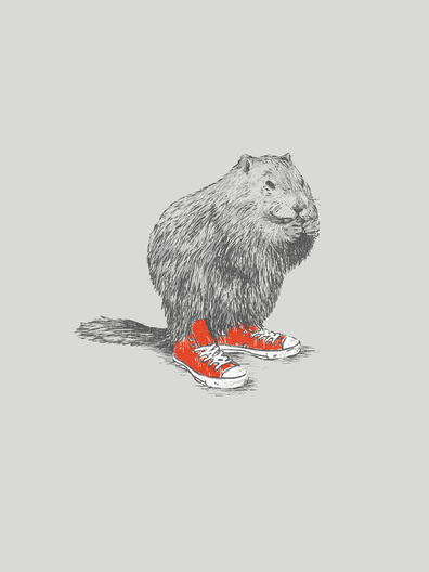 Picture 6 woodchucks by david schwen